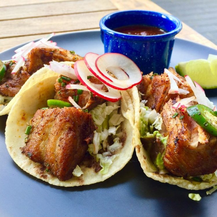 Caracol - Carnitas Tacos