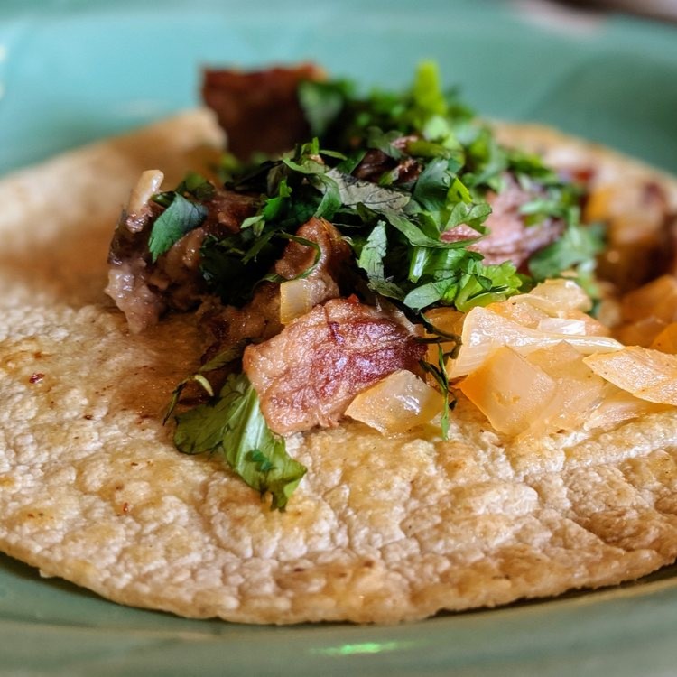 Agavero Cantina Carnitas taco